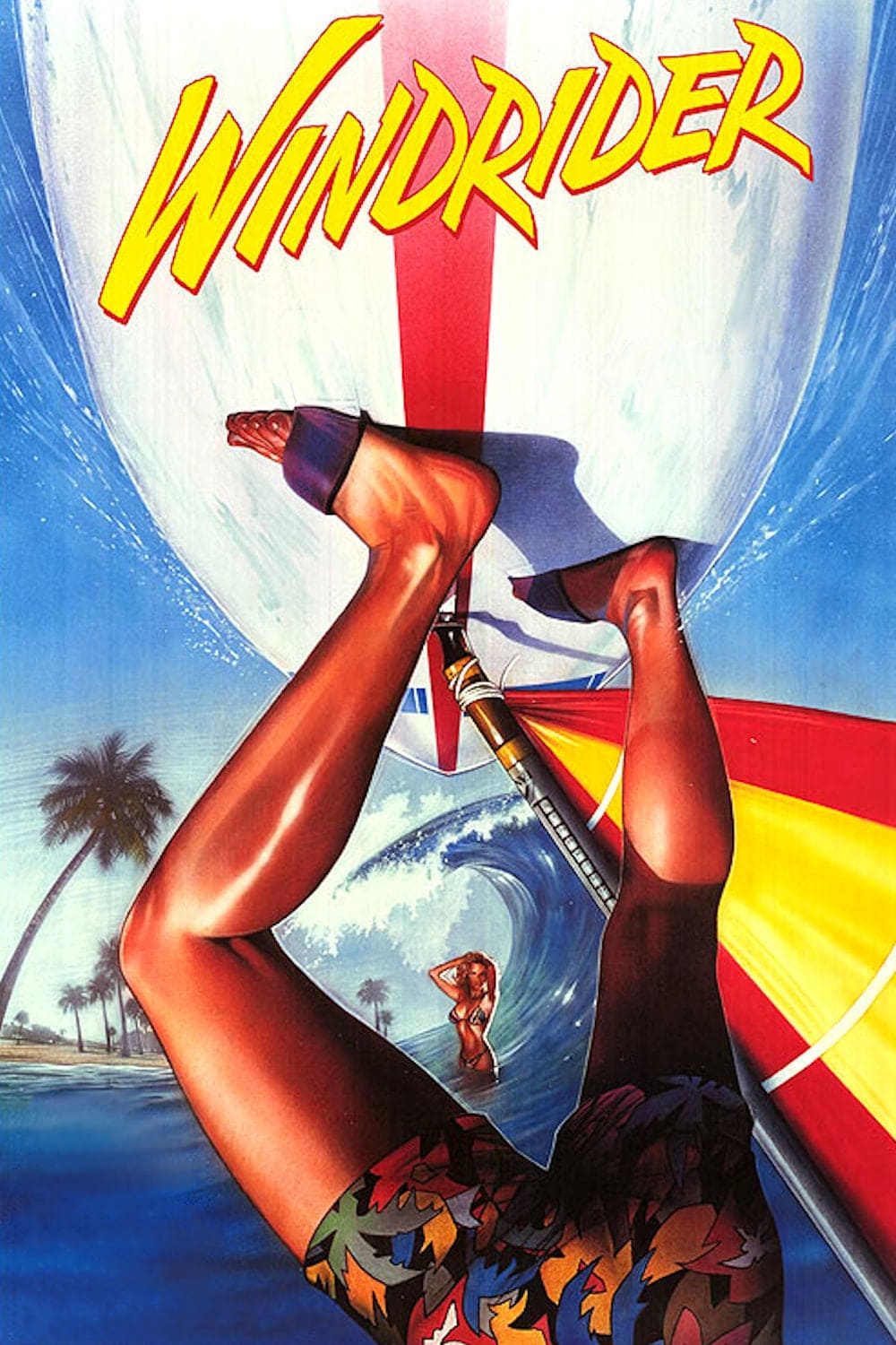 Постер Windrider